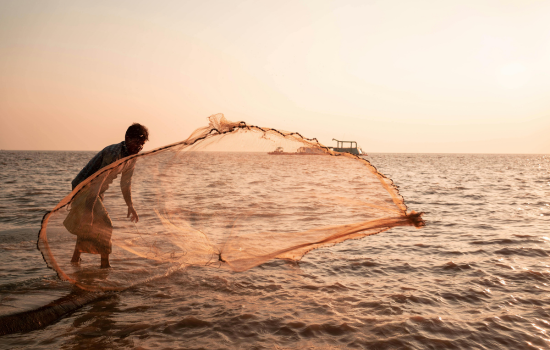 Fishing Tips App for Catching More Fish